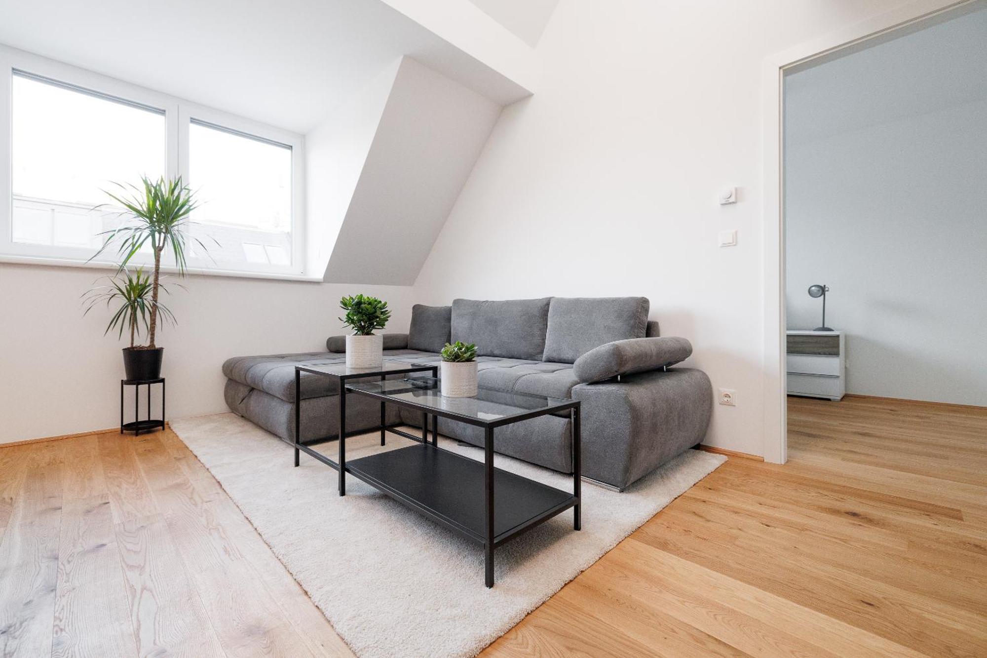 Symphony Apartments 41 - Modern Loft With Terrace And Grill In Central Location Wien Ngoại thất bức ảnh